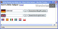 The input window