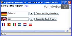 The input window